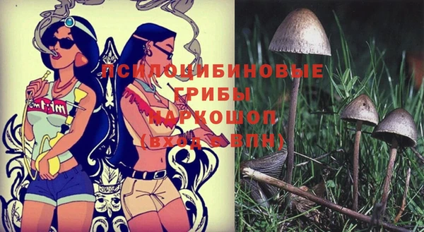 молекула духа Болхов
