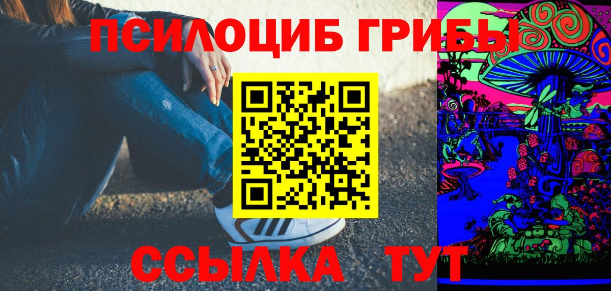 Псилоцибиновые грибы Psilocybine cubensis Темрюк