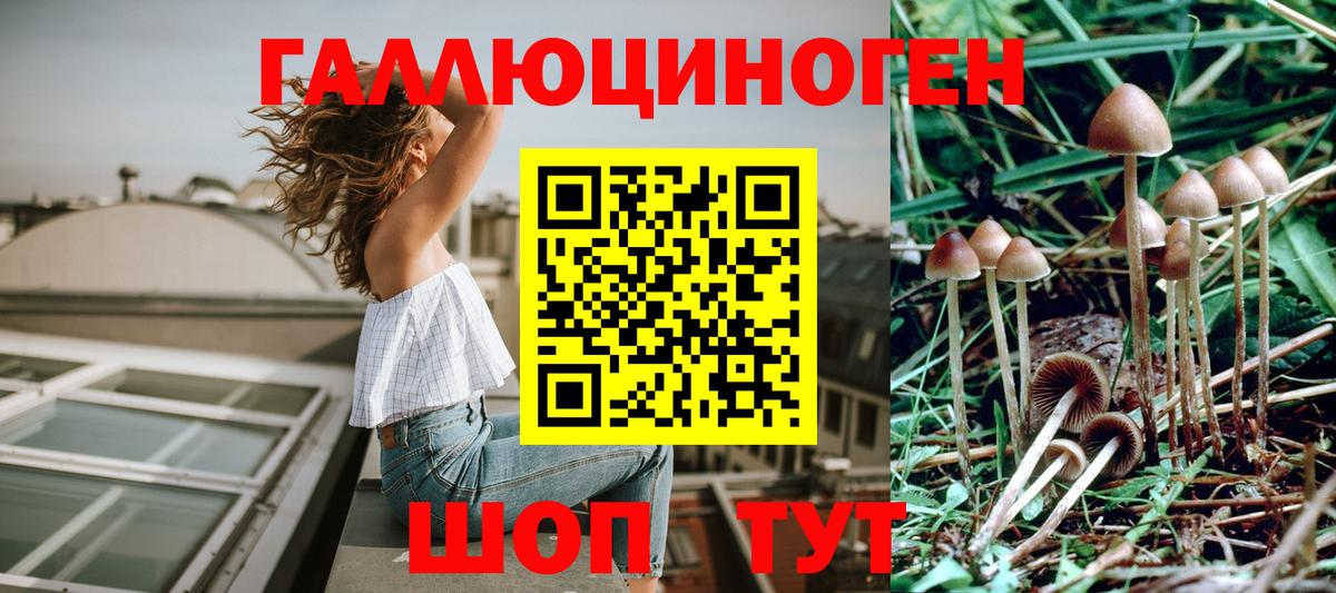 Псилоцибиновые грибы мухоморы Темрюк